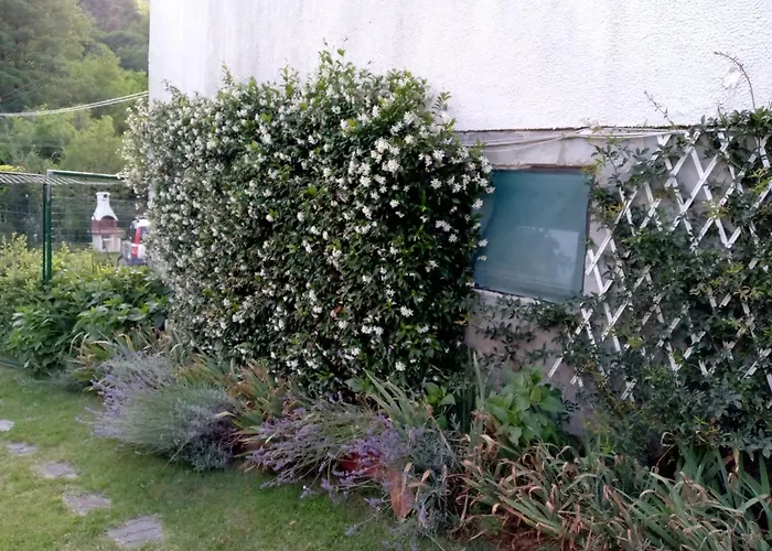 L'erbetta Fra Le Cinque Terre E La Val Di Vara *