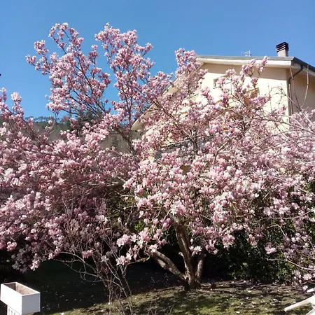 L'erbetta Fra Le Cinque Terre E La Val Di Vara Апартаменты Рикко-дель-Гольфо-ди-Специя