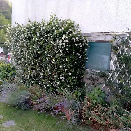L'erbetta Fra Le Cinque Terre E La Val Di Vara *